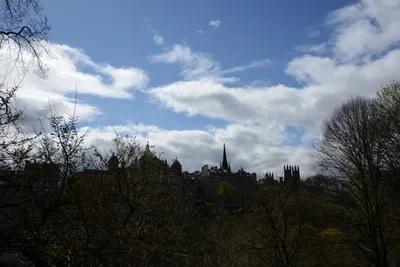 DSC_7289 (Large).JPG